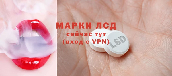 стаф Надым