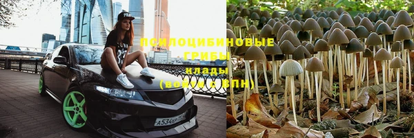 спайс Михайлов