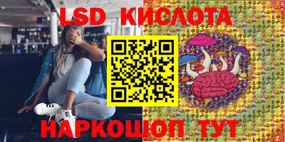 PSILOCYBIN Жуковский