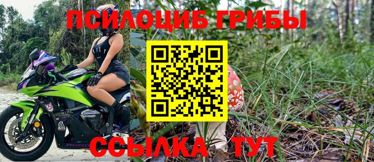 Псилоцибиновые грибы GOLDEN TEACHER  Вход с VPN  Псилоцибиновые грибы MAGIC MUSHROOMS  Новоуральск 
