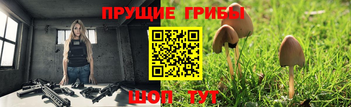 Галлюциногенные грибы прущие грибы Новоуральск